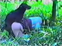 Brunette slutwife drilled with a dog outdoors